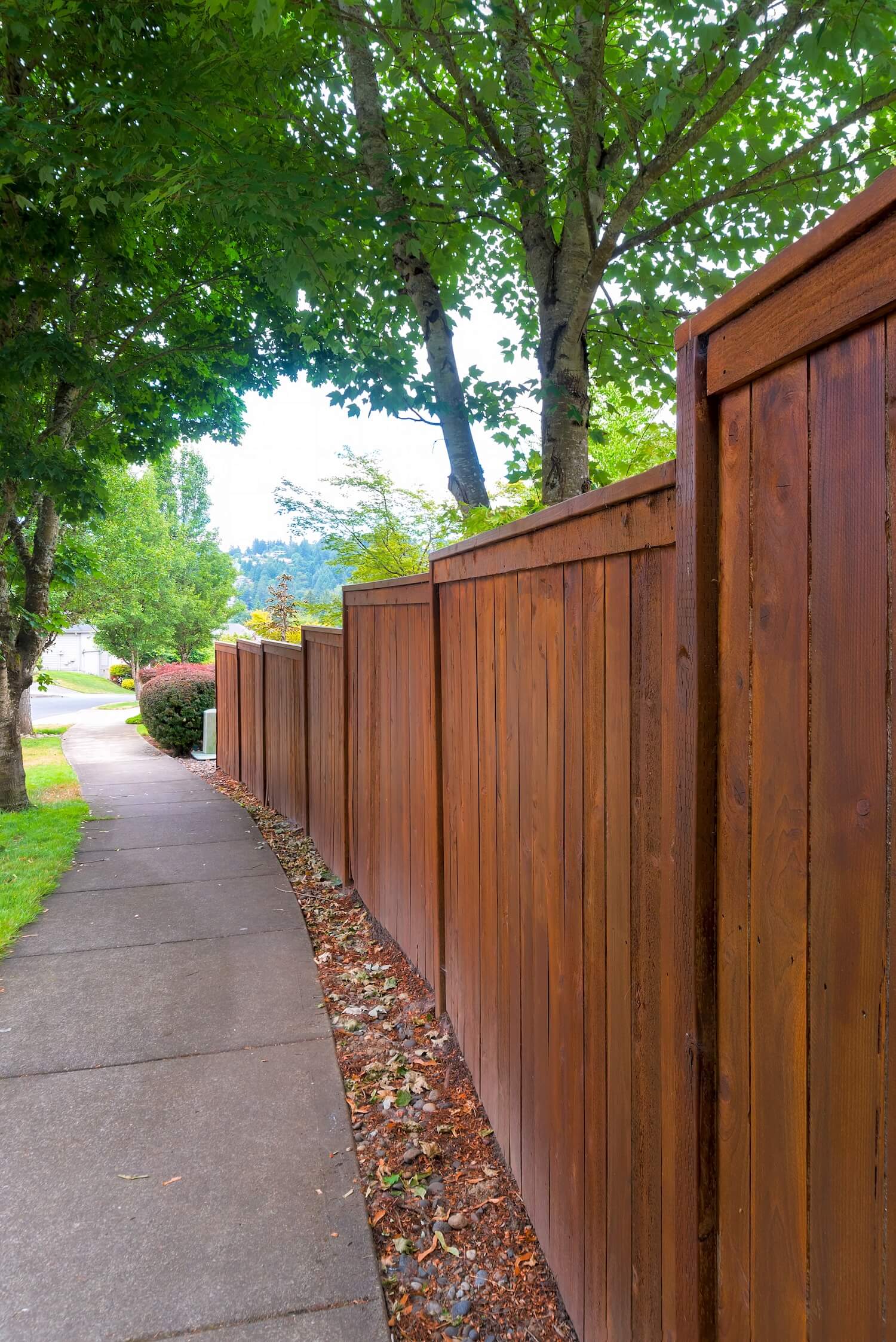 Long cedar privacy fence with a fresh reddish brown stain along a sidewalk, fence staining services in Dallas, Texas
